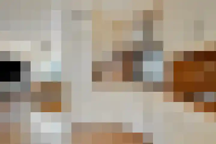 Ulenpas 23 Eindhoven thumbnail 12