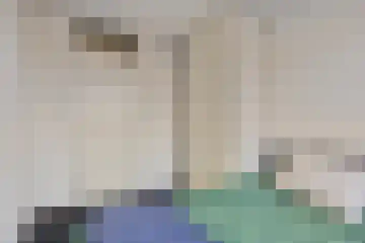 Ulenpas 23 Eindhoven thumbnail 16