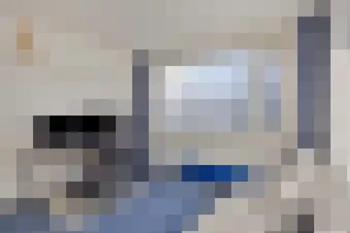 Ulenpas 23 Eindhoven thumbnail 20