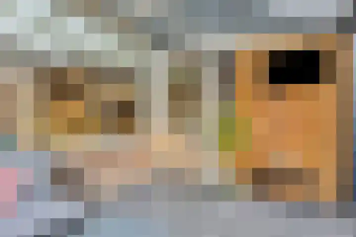 Ulenpas 23 Eindhoven thumbnail 32