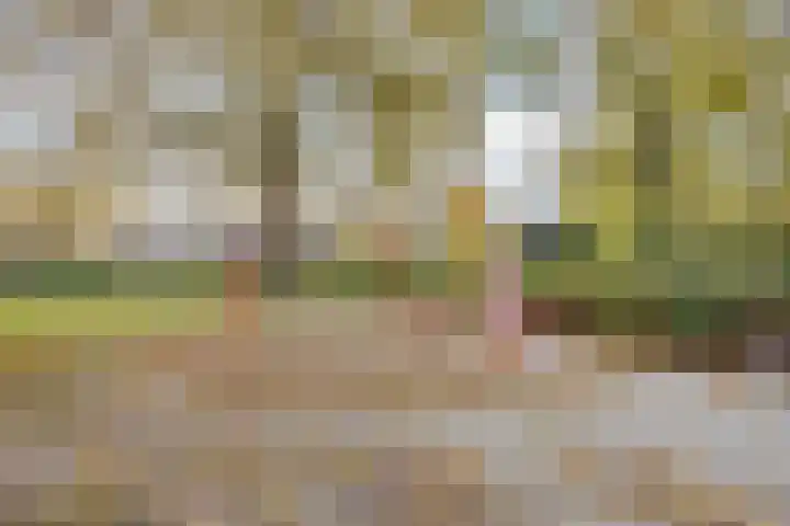 Ulenpas 23 Eindhoven thumbnail 40