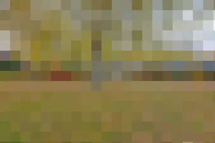 Ulenpas 23 Eindhoven thumbnail 41