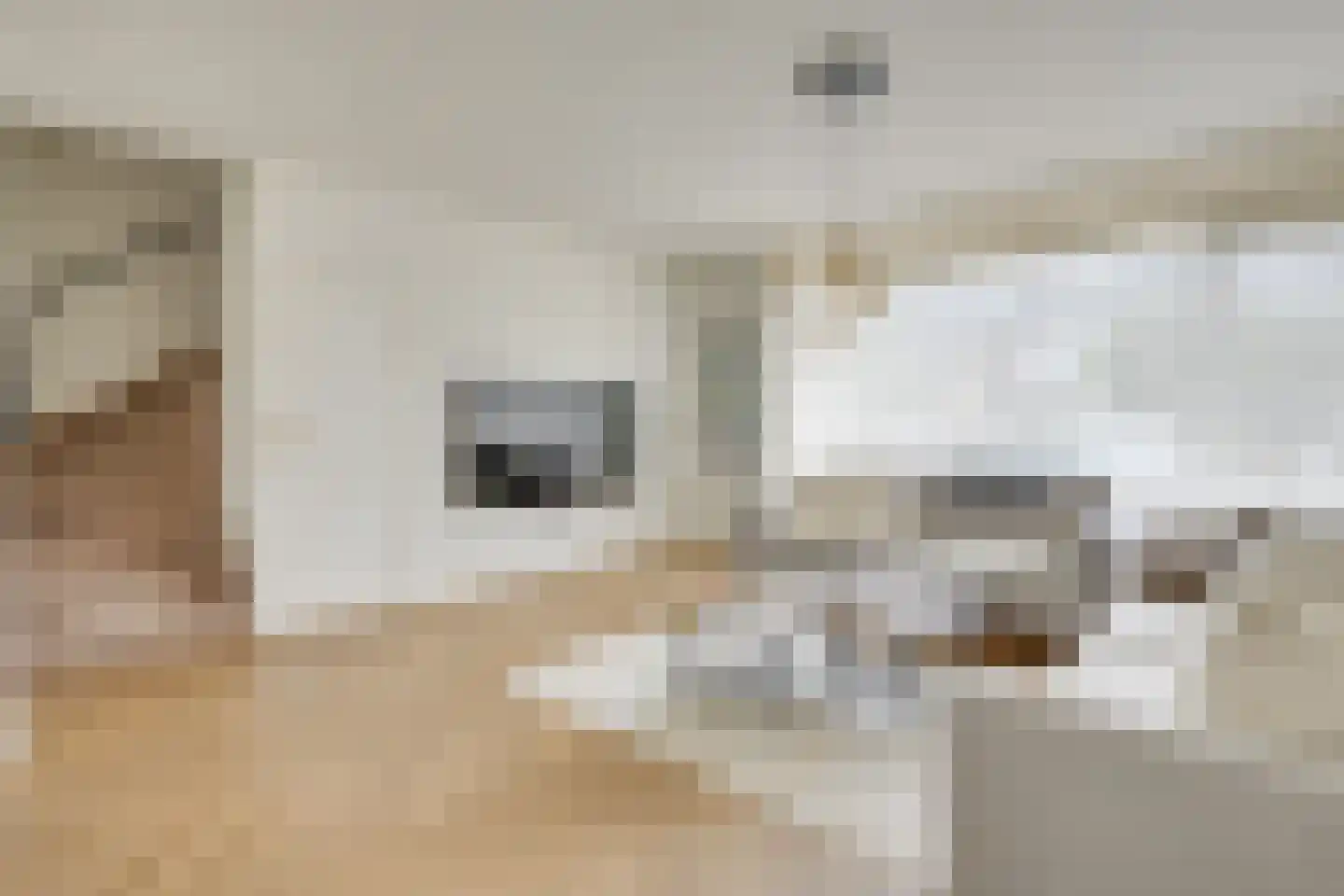 Ulenpas 9 Eindhoven thumbnail 14