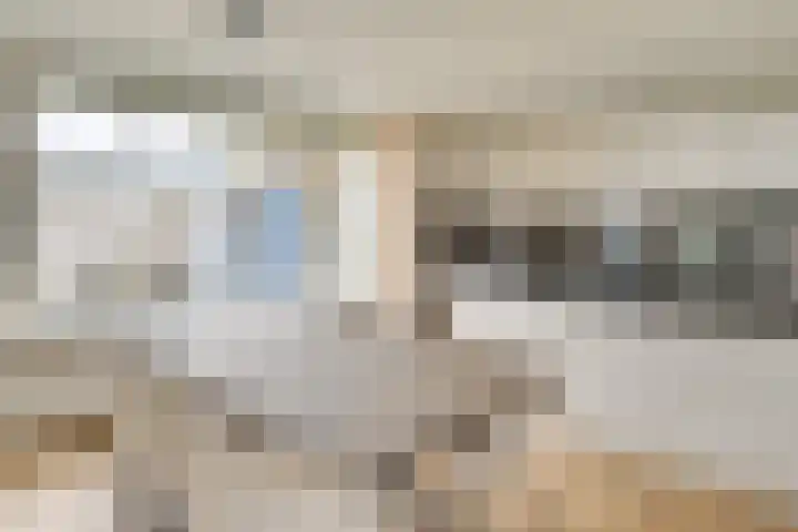 Ulenpas 9 Eindhoven thumbnail 15