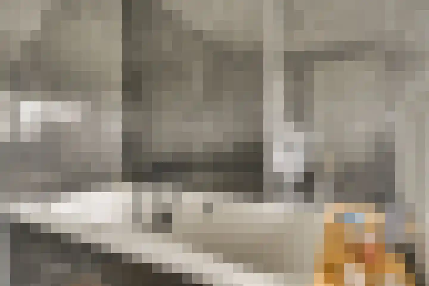 Ulenpas 9 Eindhoven thumbnail 5