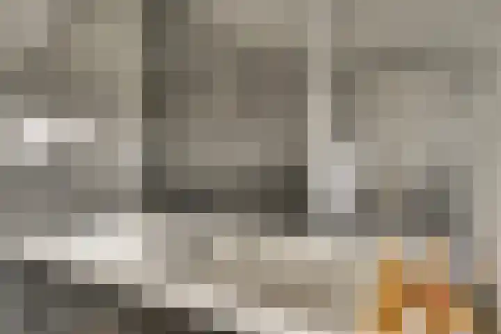 Ulenpas 9 Eindhoven thumbnail 5