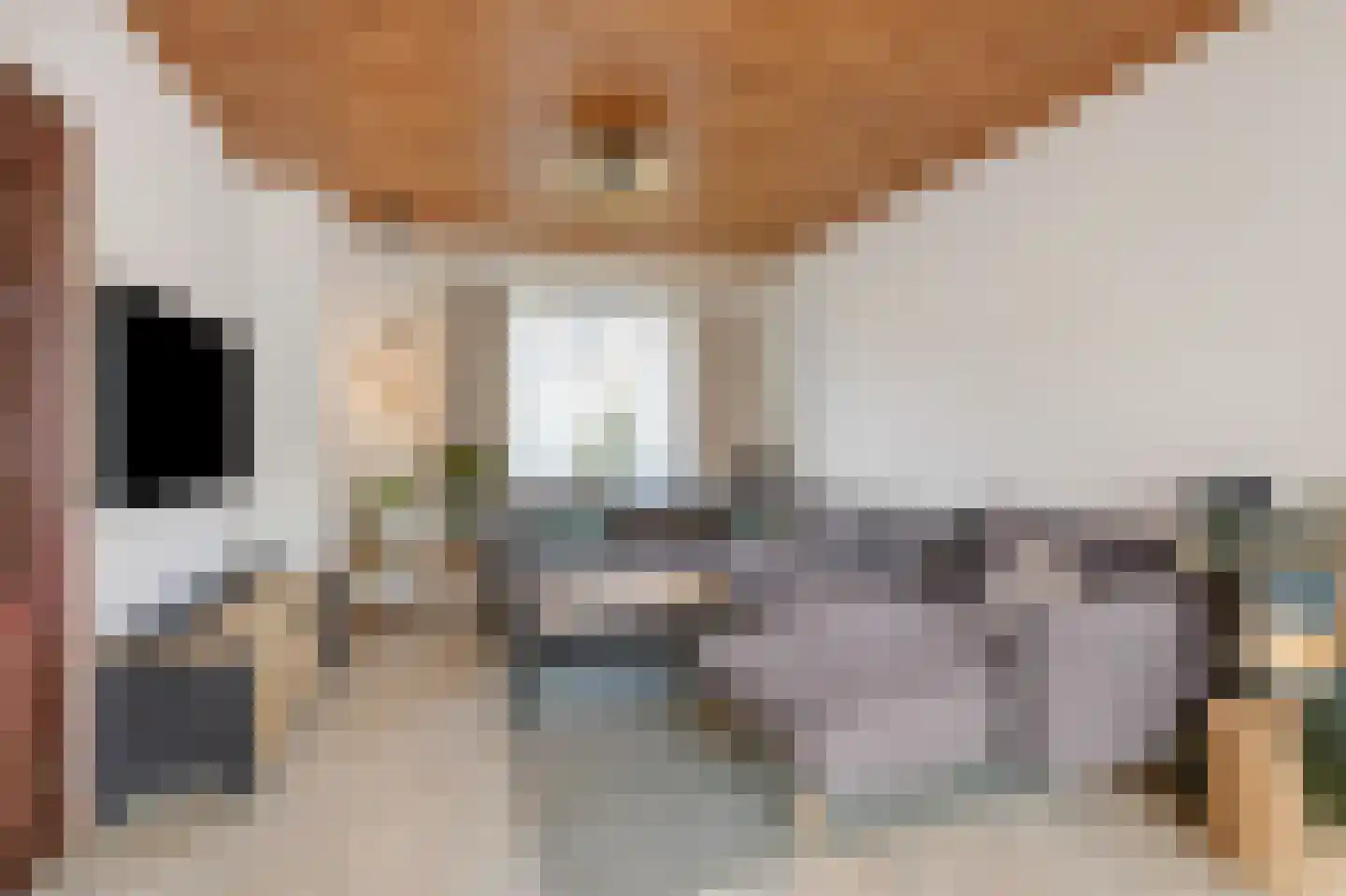Ulenpaslaan 12 Arnhem thumbnail 14