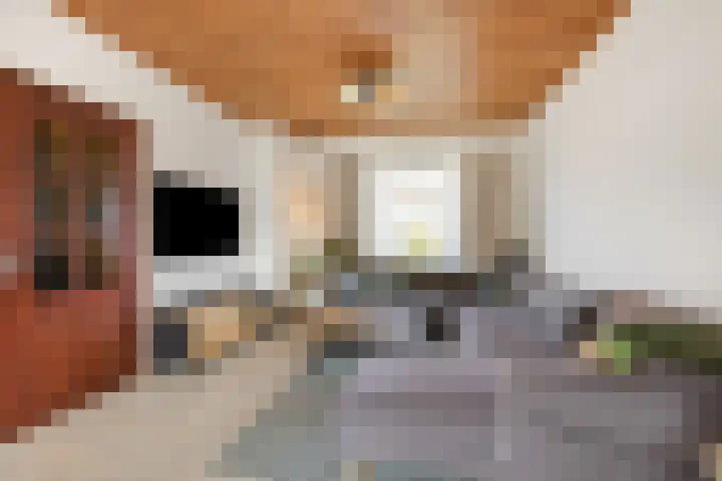 Ulenpaslaan 12 Arnhem thumbnail 15
