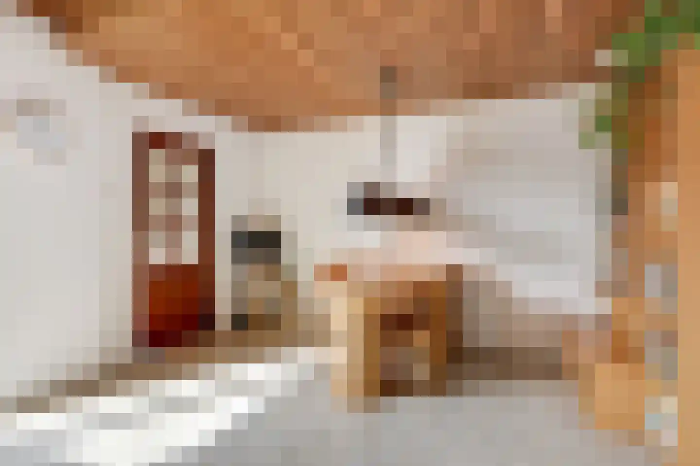 Ulenpaslaan 12 Arnhem thumbnail 22