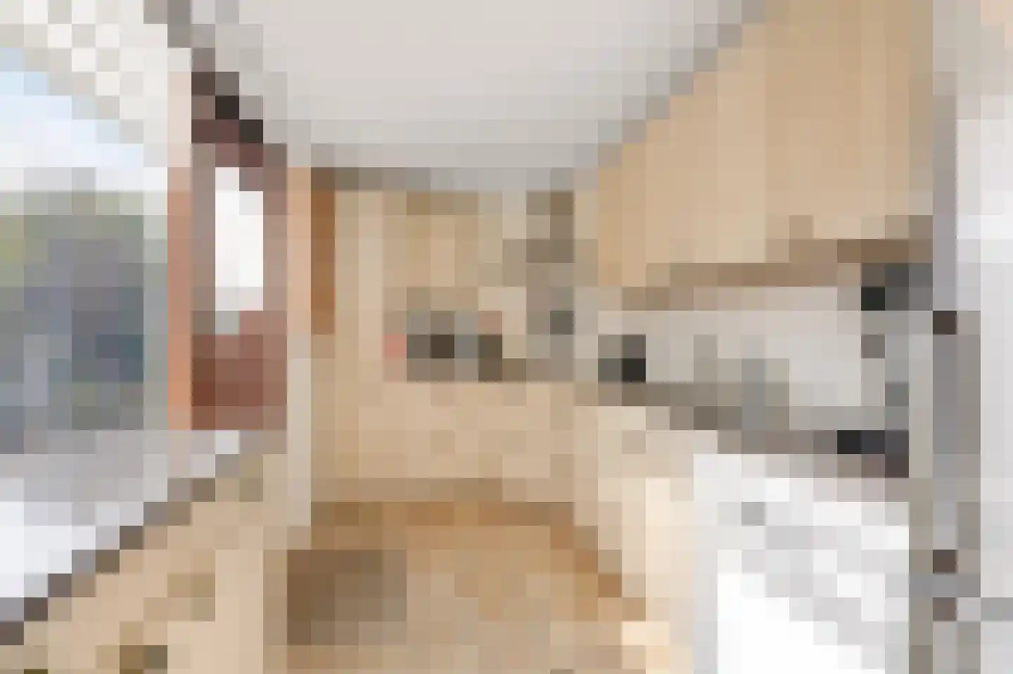 Ulenpaslaan 12 Arnhem thumbnail 25