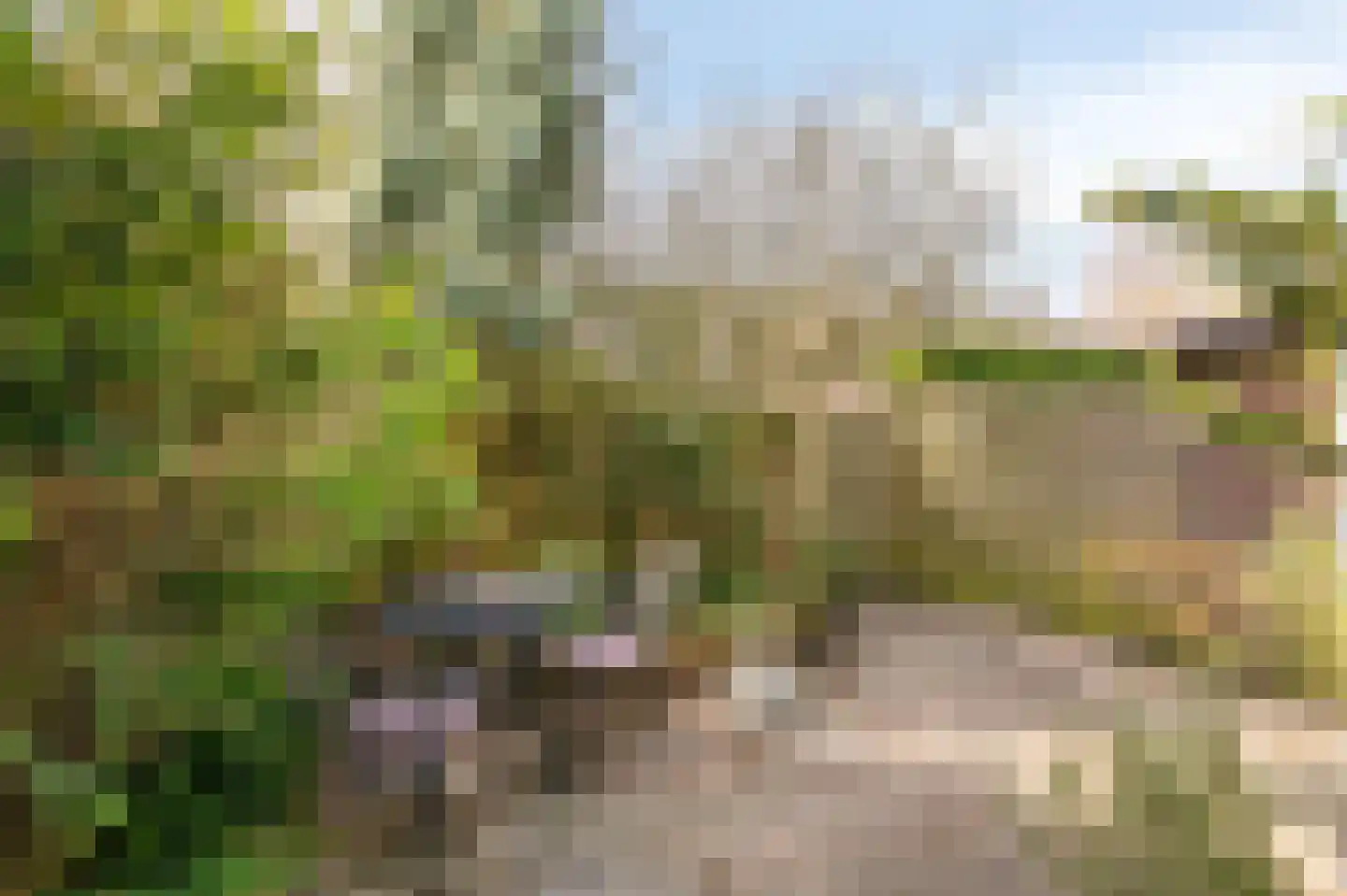 Ulenpaslaan 12 Arnhem thumbnail 29