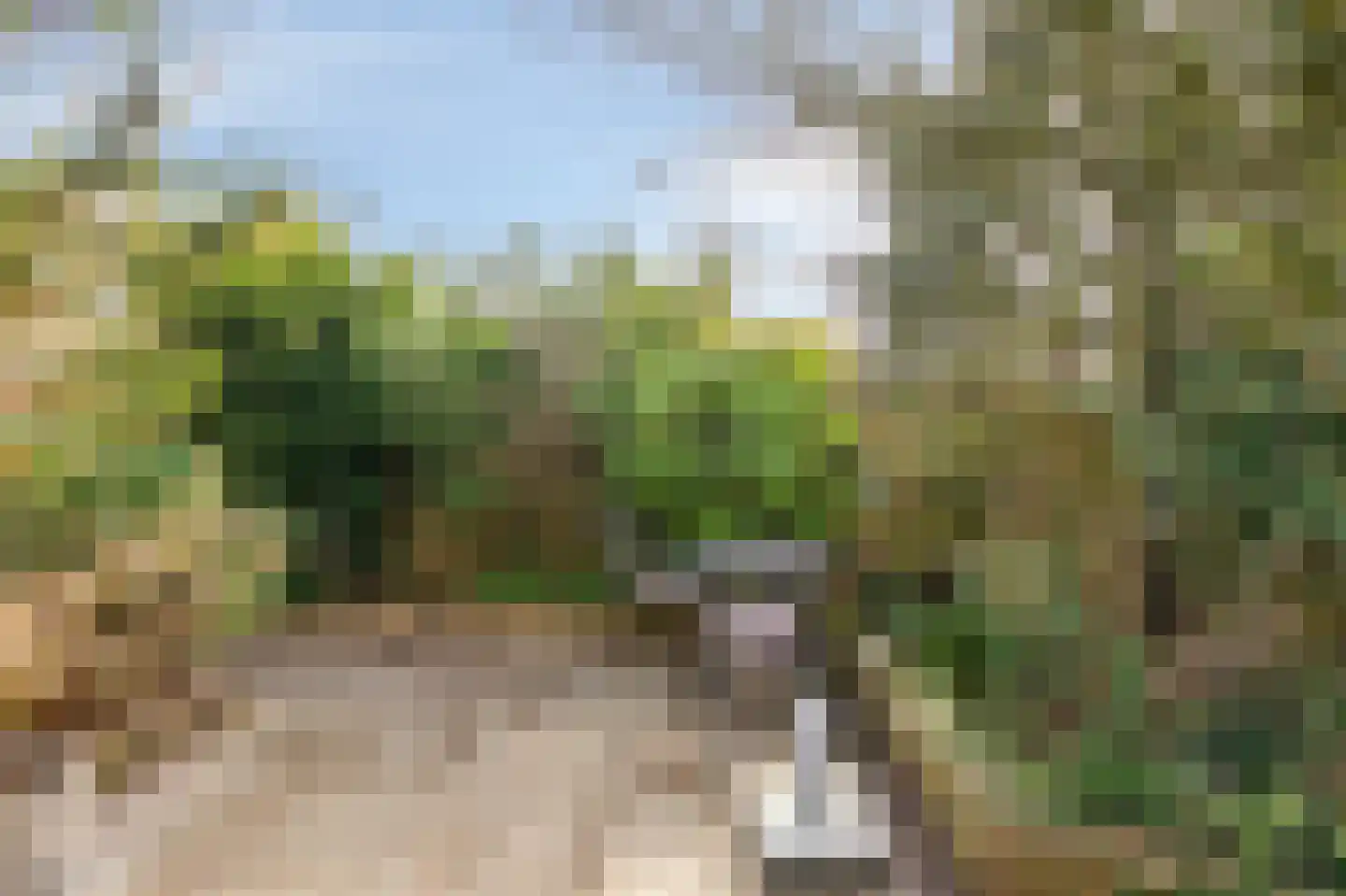 Ulenpaslaan 12 Arnhem thumbnail 31