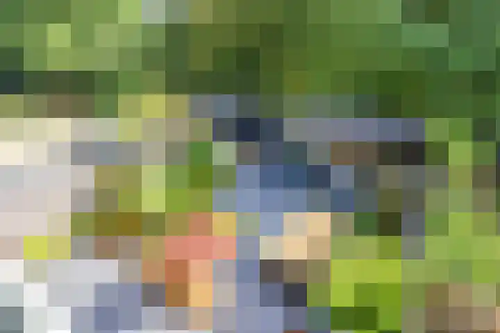 Ulenpaslaan 17 Arnhem thumbnail 47