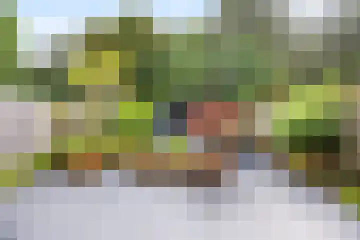 Ulenpaslaan 17 Arnhem thumbnail 48