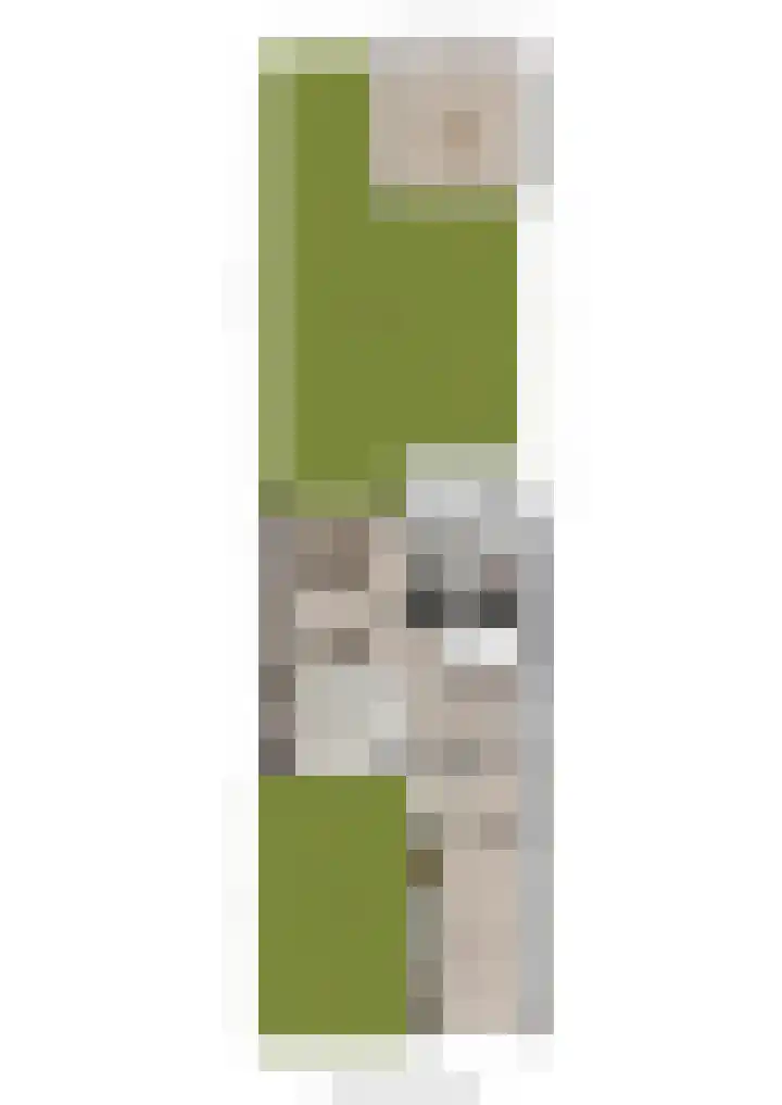 Ulenpaslaan 17 Arnhem thumbnail 61