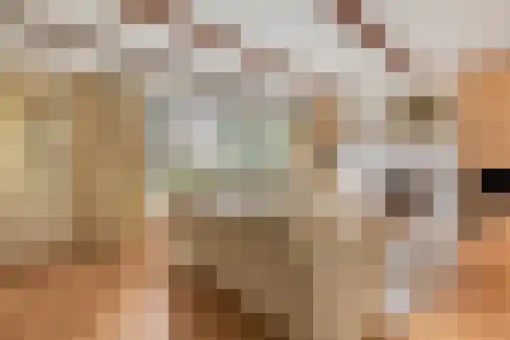 Ulenpaslaan 41 Arnhem thumbnail 8