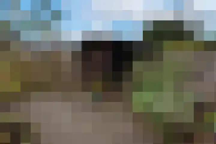 Ulenpaslaan 44 Arnhem thumbnail 11