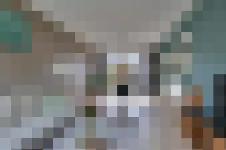 Ulenpaslaan 44 Arnhem thumbnail 12
