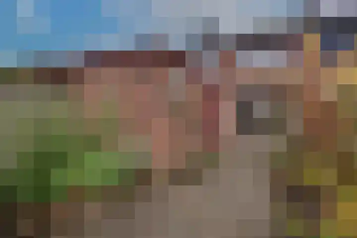 Ulenpaslaan 44 Arnhem thumbnail 8