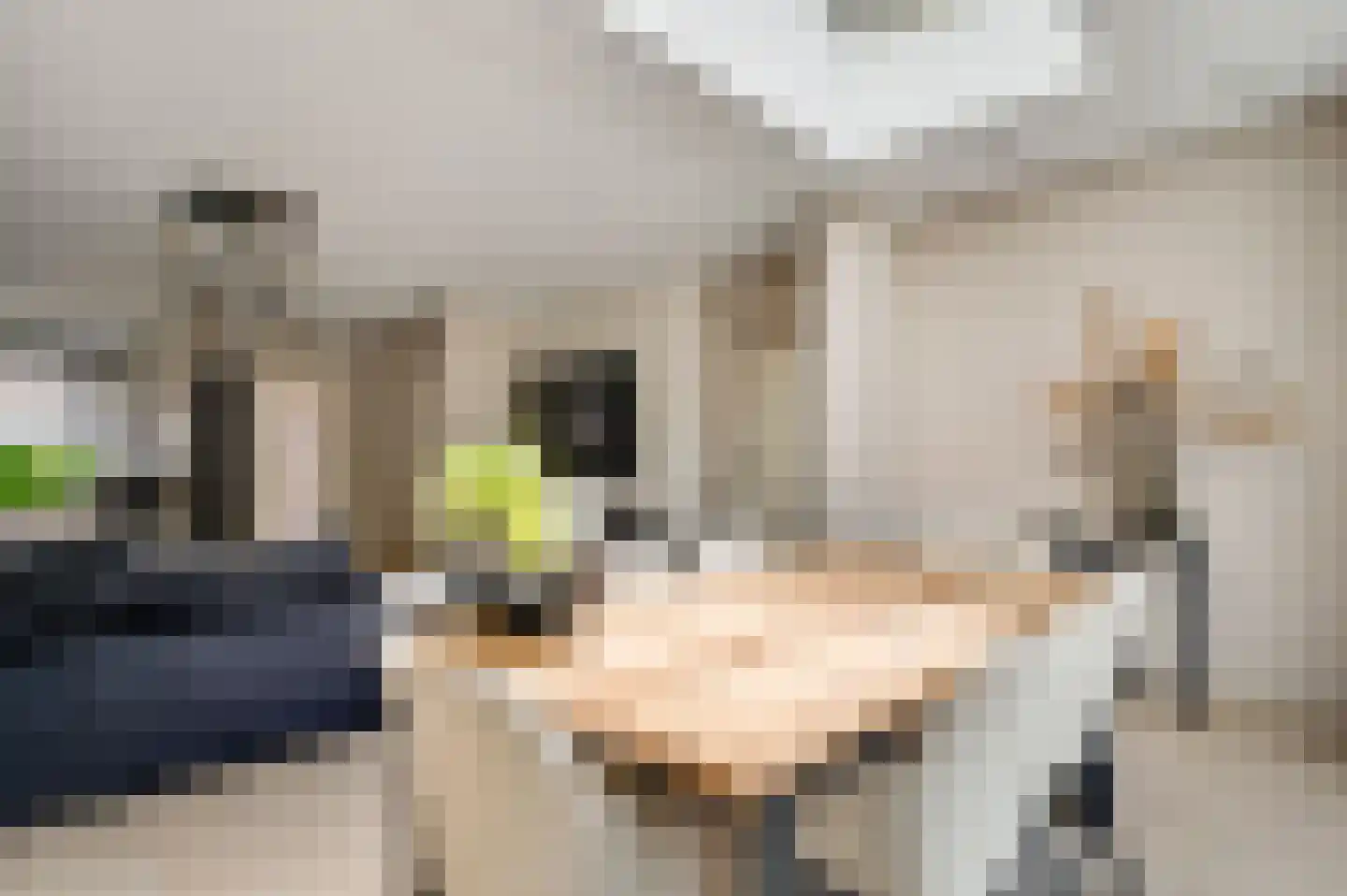 Ulensvaaren 61 Neer thumbnail 16