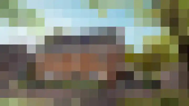 Ulepad 38 Pannerden foto 2