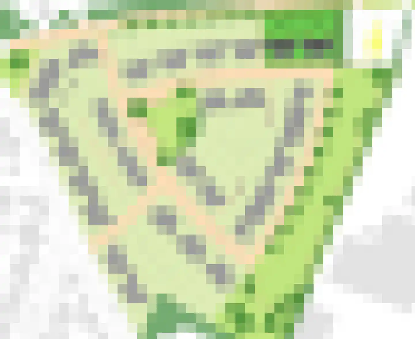 Ulepad 38 Pannerden thumbnail 7