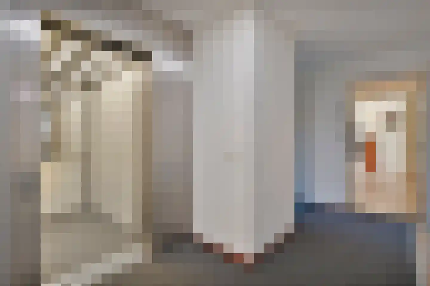 Ulfershof 12 Hardenberg thumbnail 19
