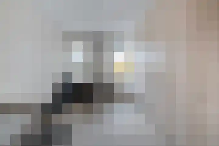 Ulfershof 15 Hardenberg thumbnail 28