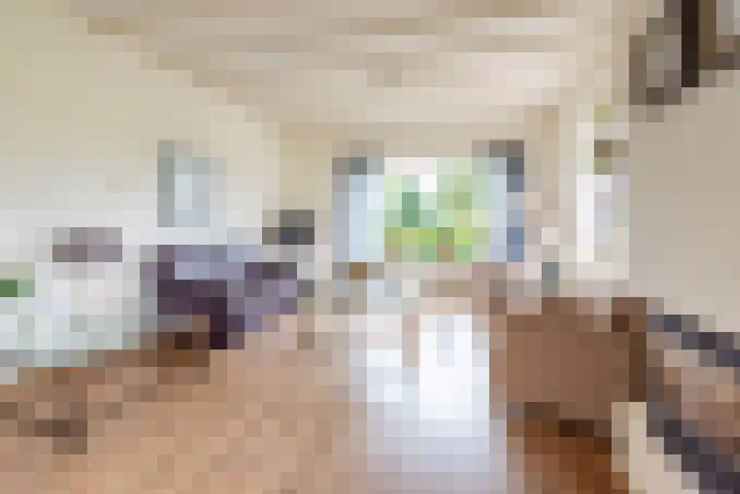 Ulftsestraat 30 A Etten thumbnail 11