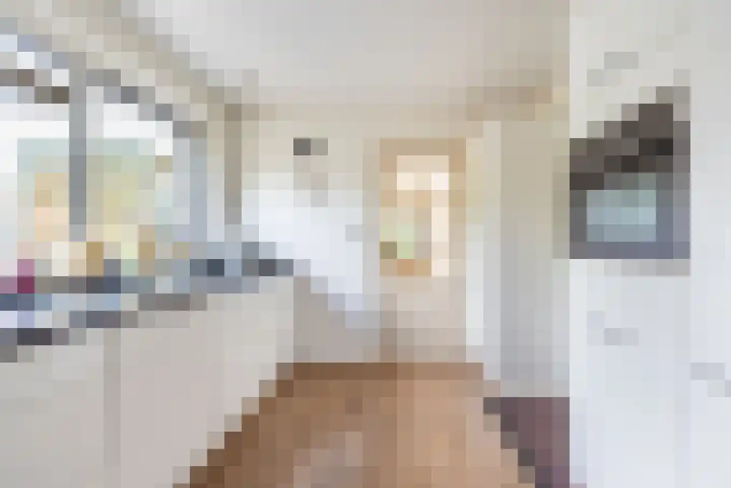 Ulftsestraat 30 A Etten thumbnail 22