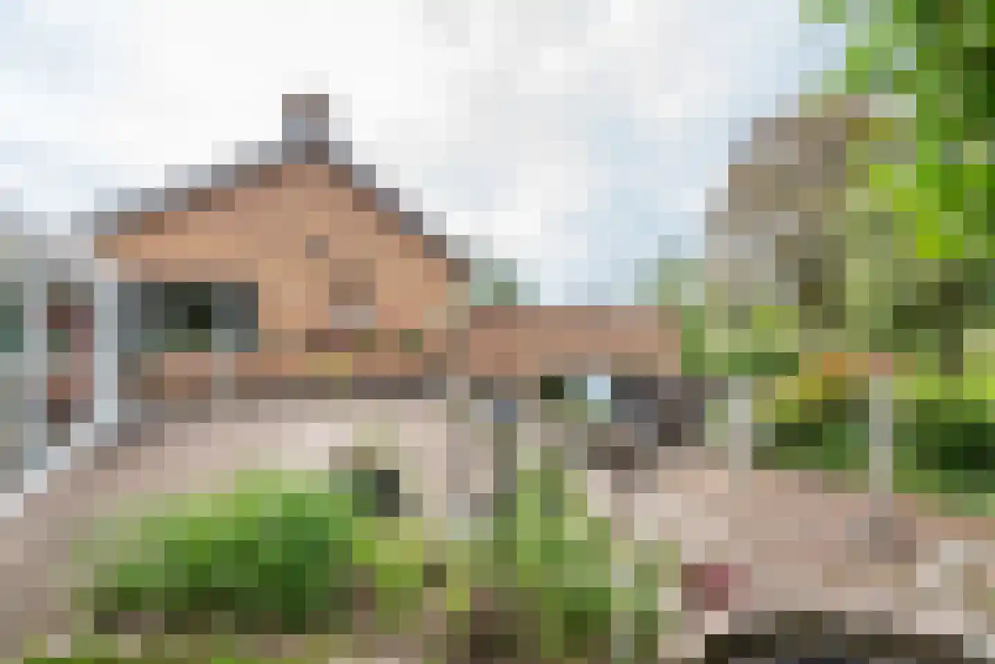 Ulftsestraat 30 A Etten thumbnail 42