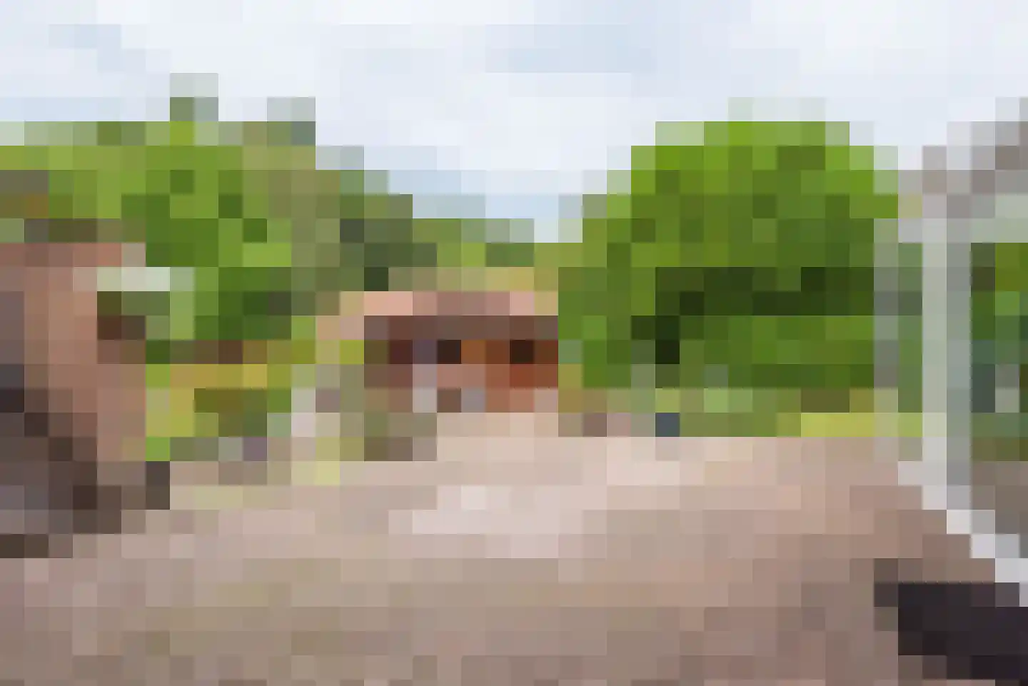Ulftsestraat 30 A Etten thumbnail 43