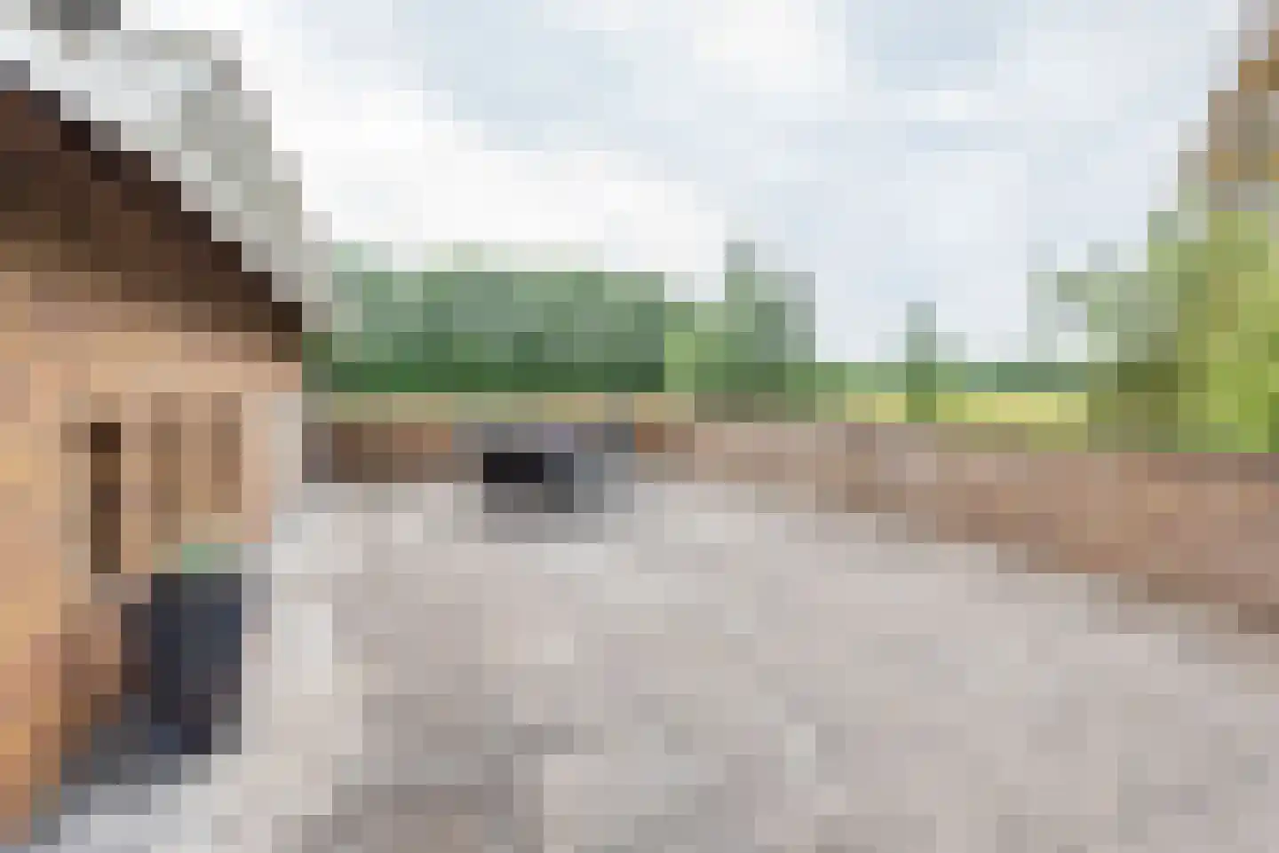 Ulftsestraat 30 A Etten thumbnail 48
