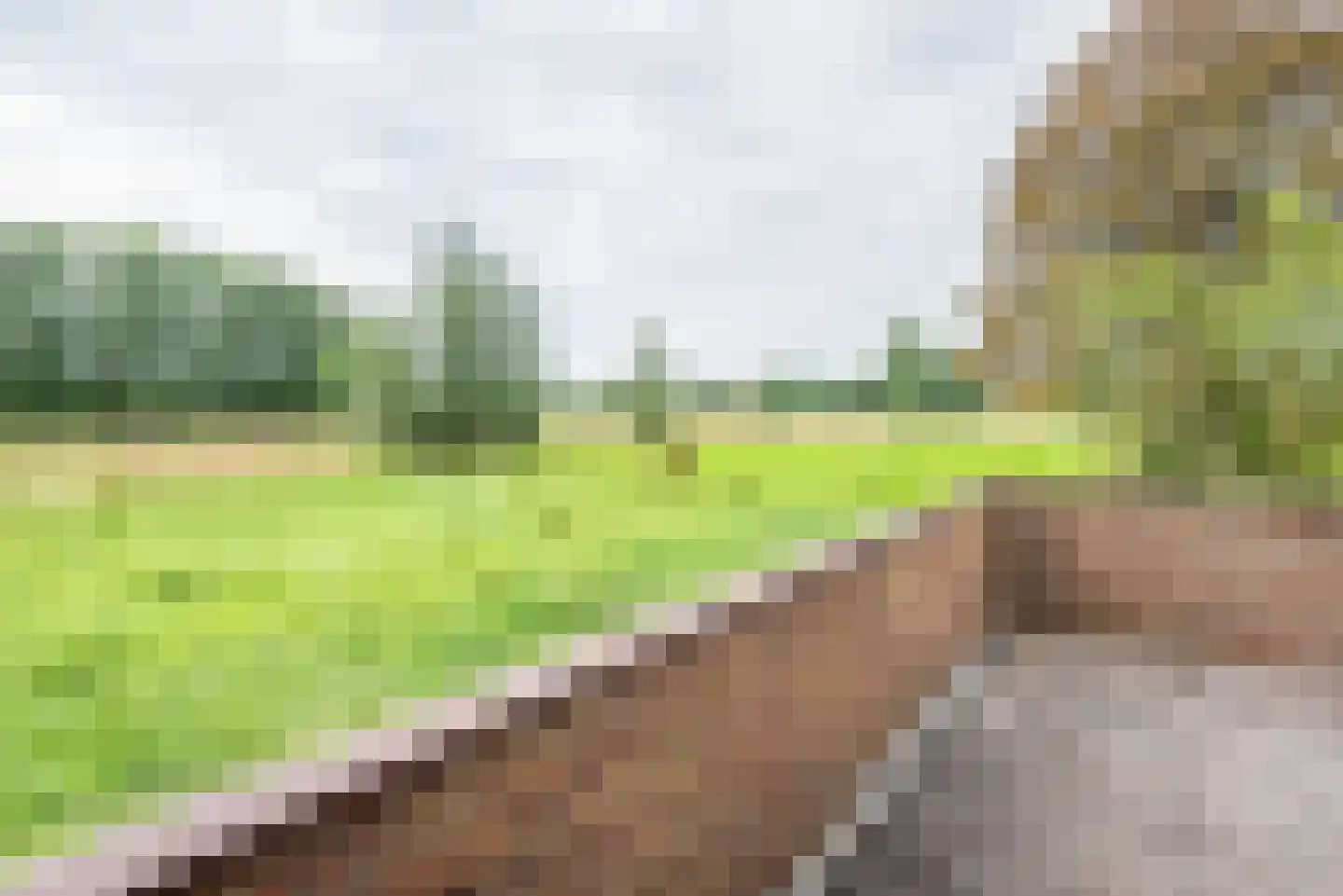 Ulftsestraat 30 A Etten thumbnail 50