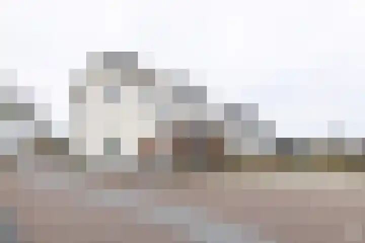 Ulftseweg 6 Silvolde foto 3