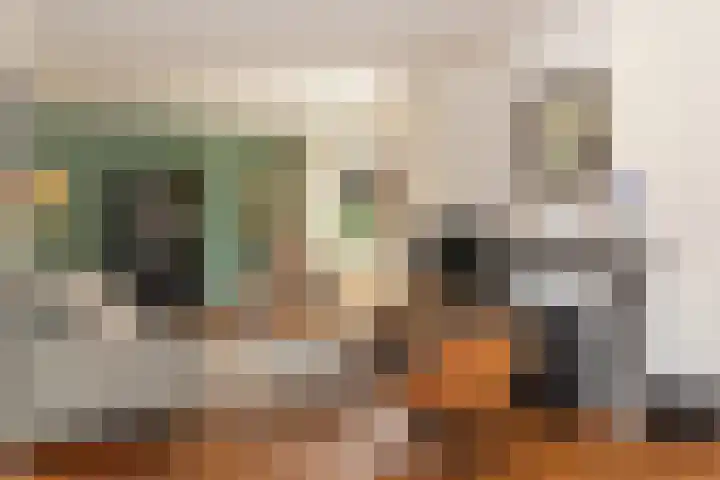 Ulftseweg 63 Silvolde thumbnail 14