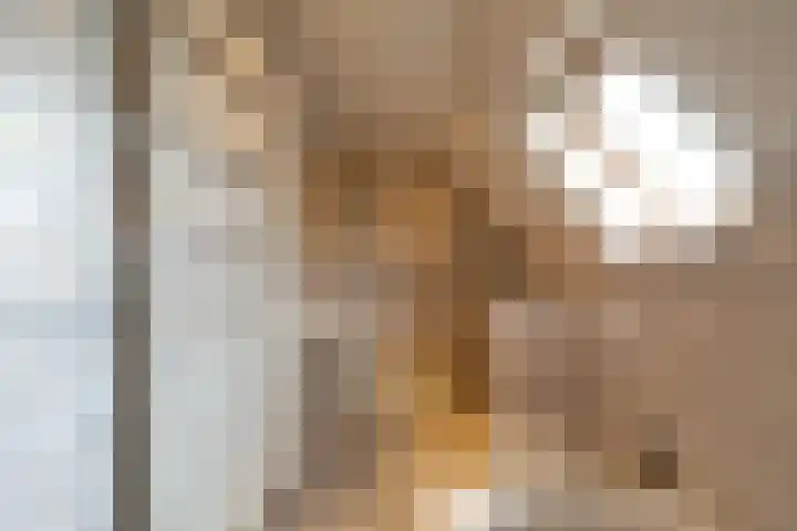 Ulftseweg 63 Silvolde thumbnail 23