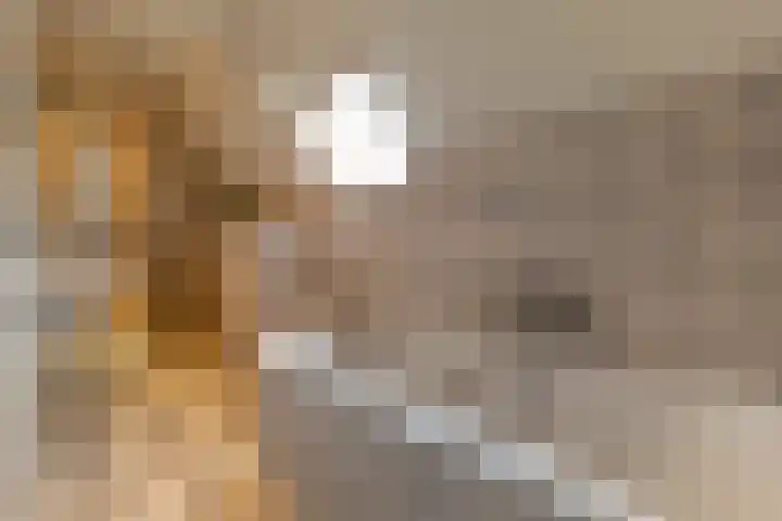 Ulftseweg 63 Silvolde thumbnail 24