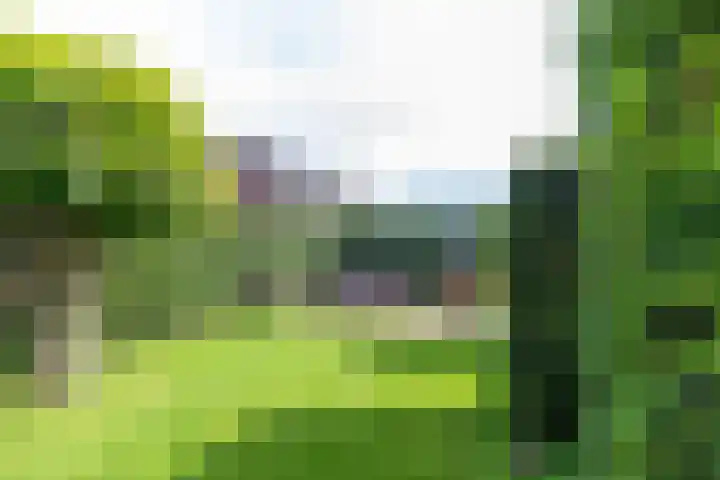 Ulftseweg 63 Silvolde thumbnail 37