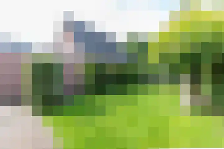 Ulftseweg 63 Silvolde thumbnail 38