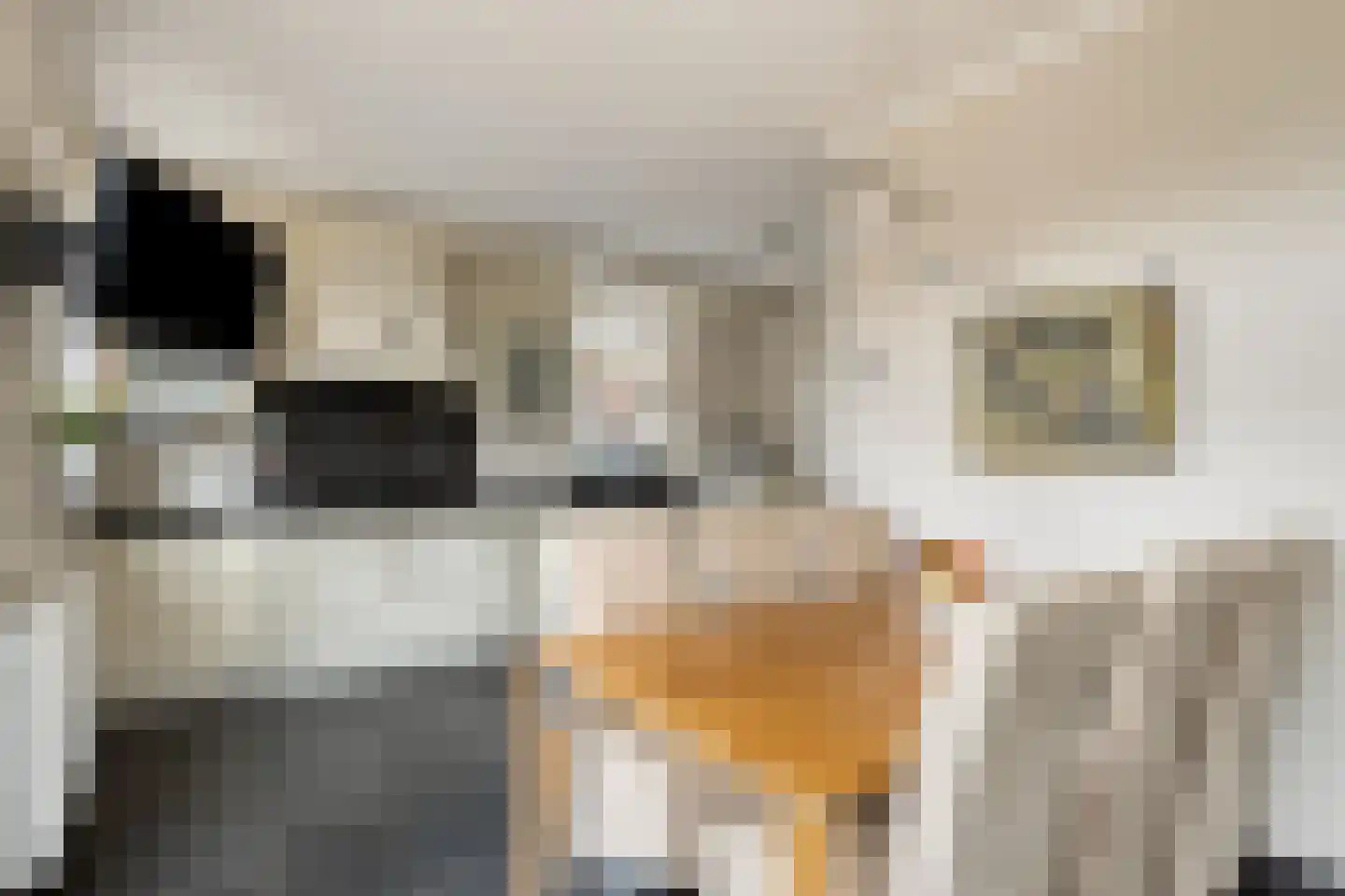 Ulftseweg 71 Silvolde thumbnail 11