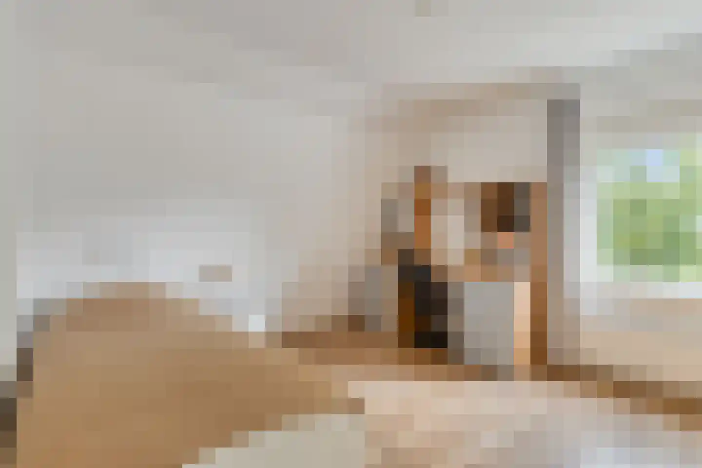 Ulftseweg 71 Silvolde thumbnail 24