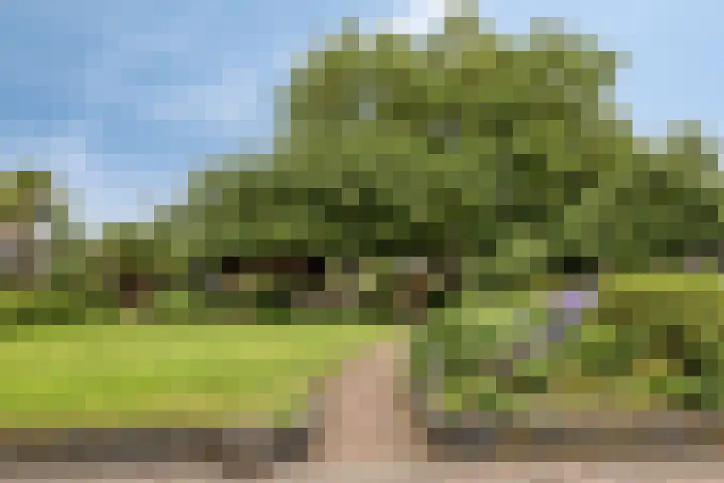 Ulftseweg 71 Silvolde thumbnail 39