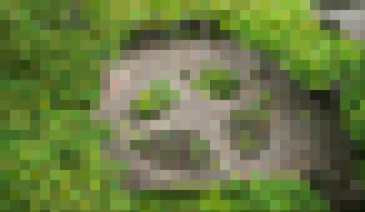 Ulftseweg 71 Silvolde thumbnail 41