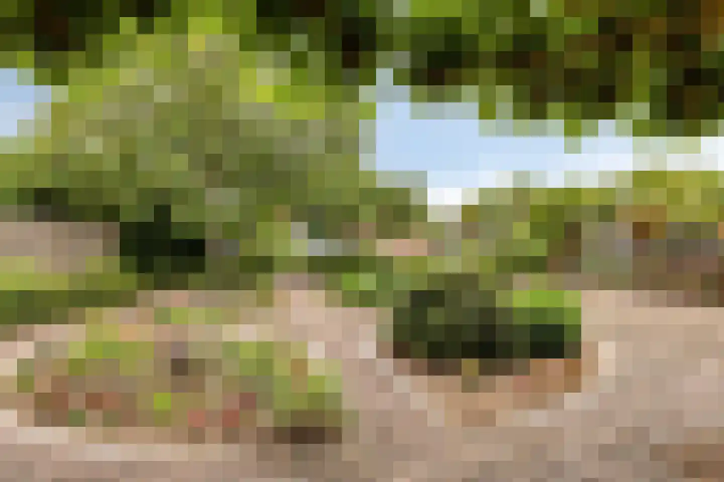 Ulftseweg 71 Silvolde thumbnail 42