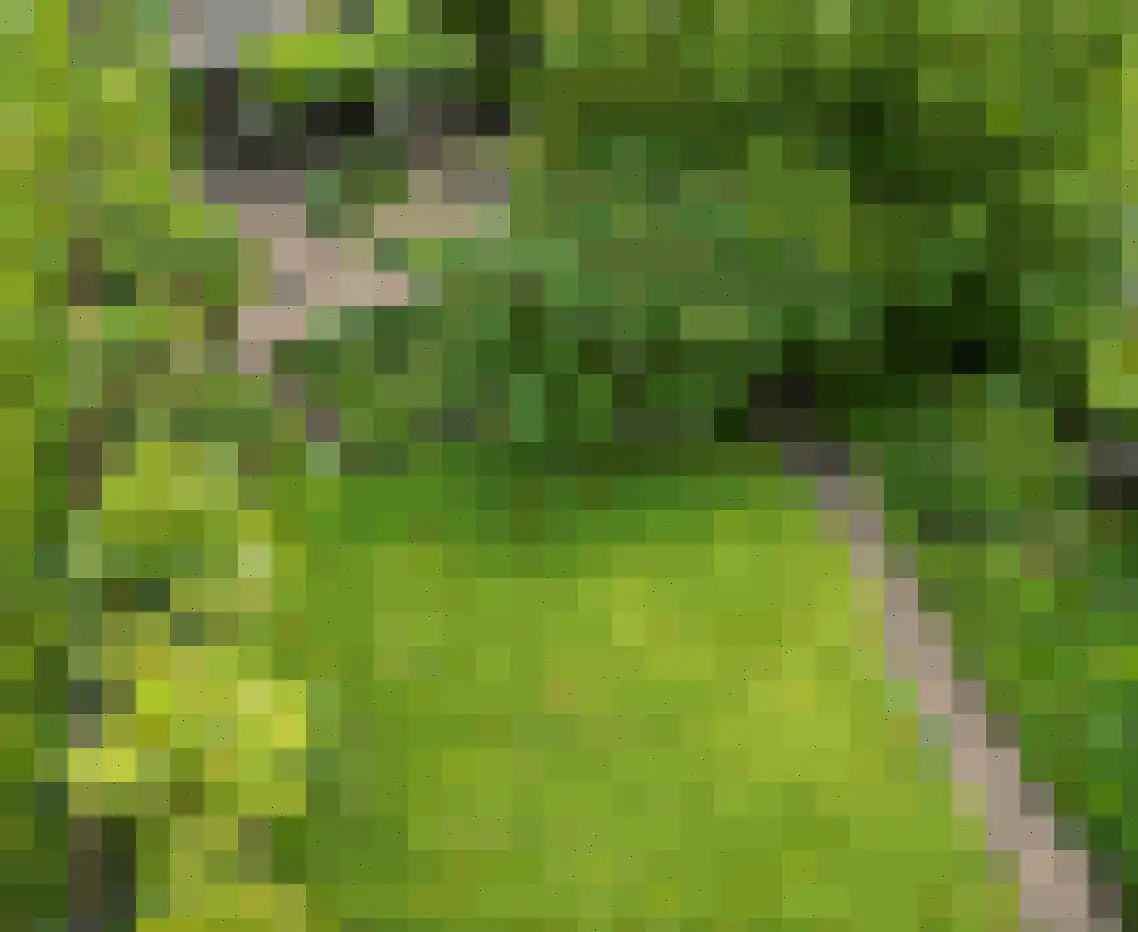 Ulftseweg 71 Silvolde thumbnail 43