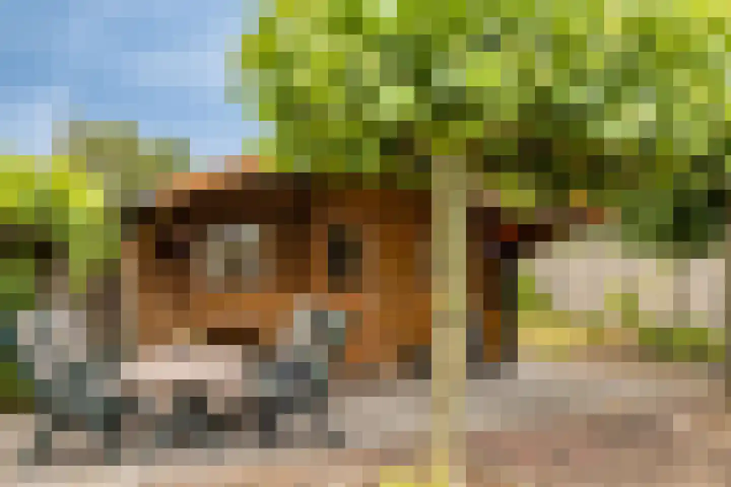 Ulftseweg 71 Silvolde thumbnail 44