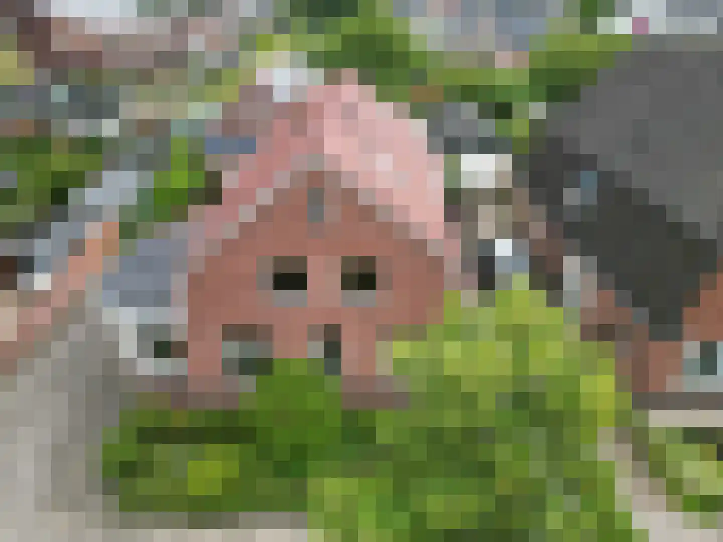 Ulftseweg 71 Silvolde thumbnail 48