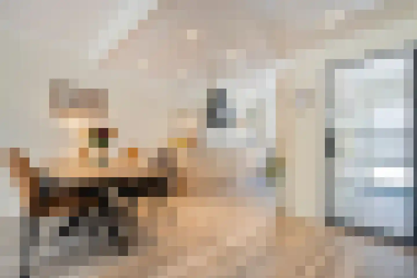 Ulgerkamp 1 Zwolle thumbnail 13