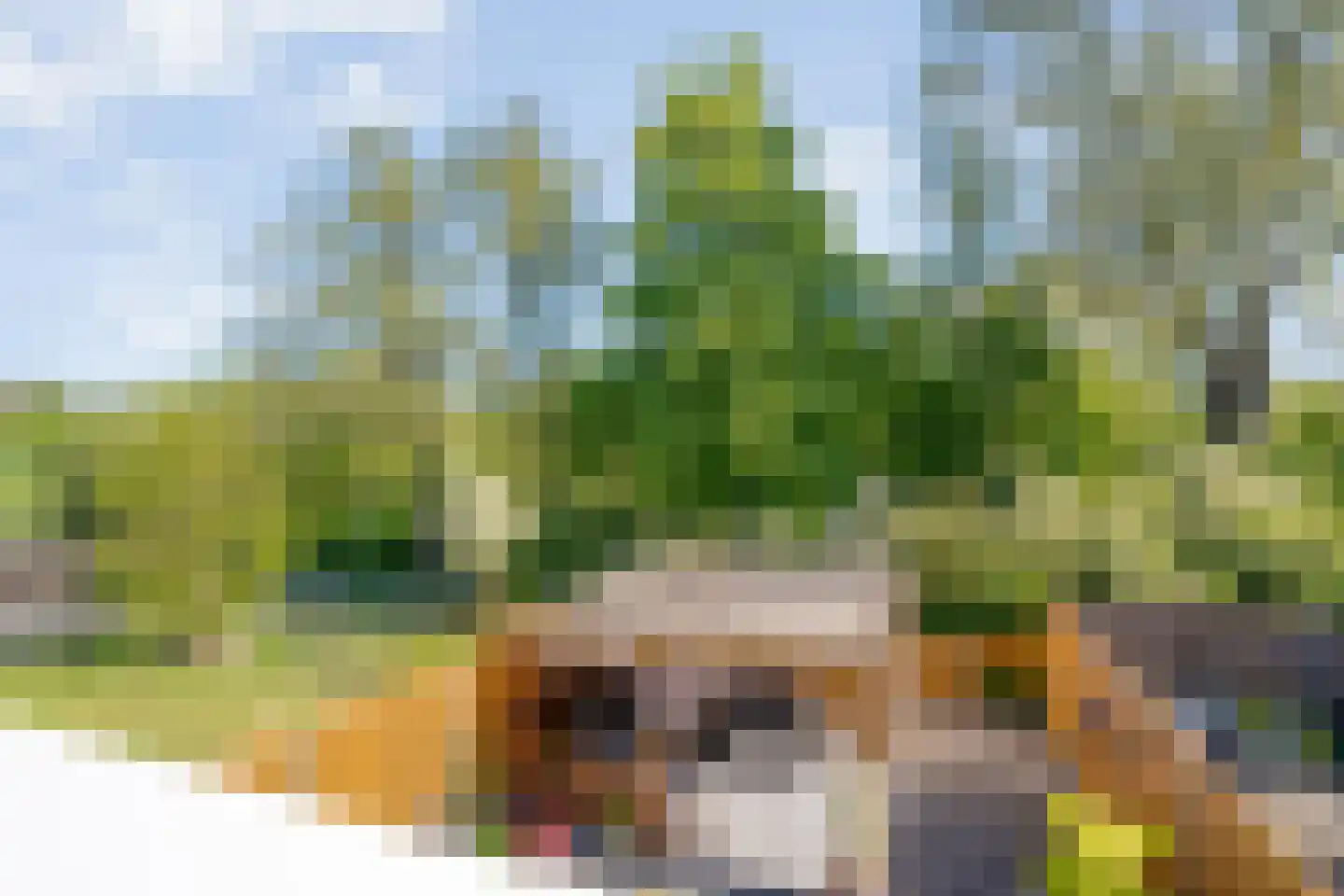 Ulgerkamp 1 Zwolle thumbnail 24